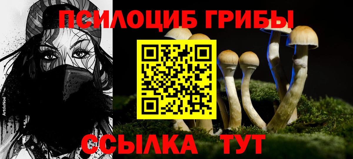 Псилоцибиновые грибы GOLDEN TEACHER  Вход с VPN  Керчь 